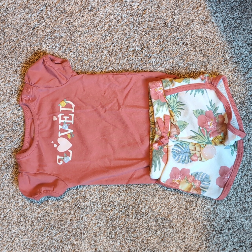 Baby Girl Garanimals Set